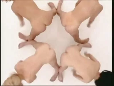 Kringloopwinkel poesje video bondage porno (Dakota)